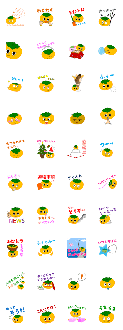 Kaki type4 ( persimmon type4 )