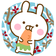 Rabbit Usahina Honorific Northern Europe