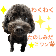 ASUKA_20201123232621