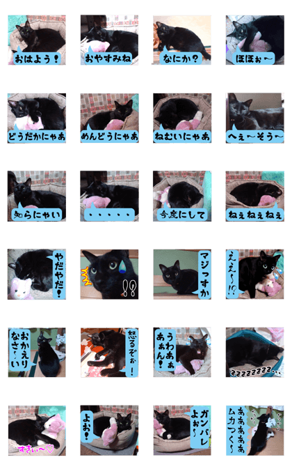 Murmur of black cat KURONYAN