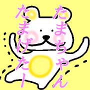 My name is Tamachan