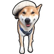 Shiba lun wish