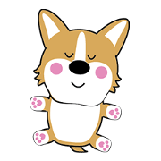 baby fat dog