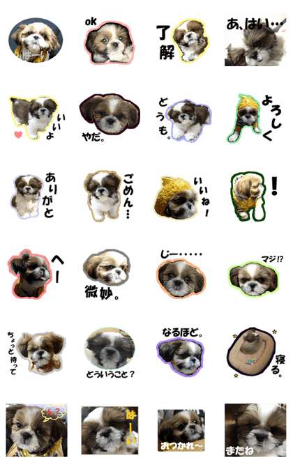 Shih tzu photo sticker