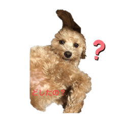 saori_20201123203831