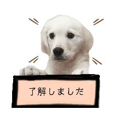 動物 Lineクリエイターズスタンプまとめ Stamplist Part 43 動物 Lineクリエイターズスタンプまとめ Stamplist Part 43