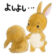 rabbit netherland dwarf. Cute USAGI!