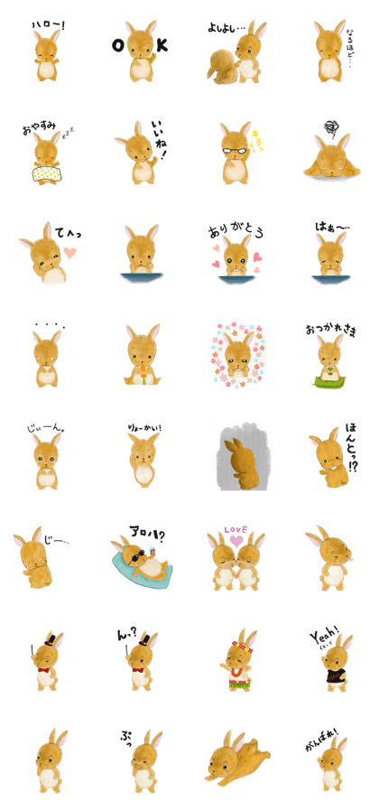 rabbit netherland dwarf. Cute USAGI!