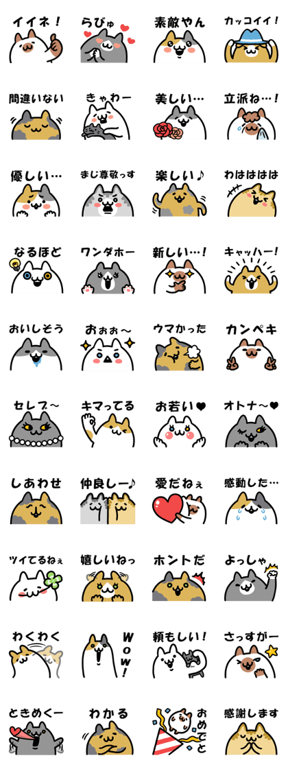 Positive words and cats