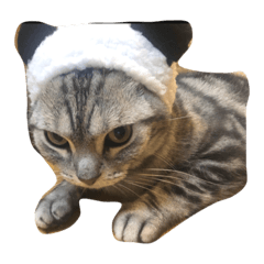 chisa_20201124015233