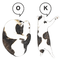 白黒ハチワレ猫のむぅたん　その２