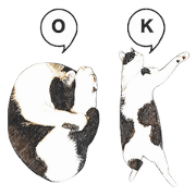 Mutan of white and black cat Part 2