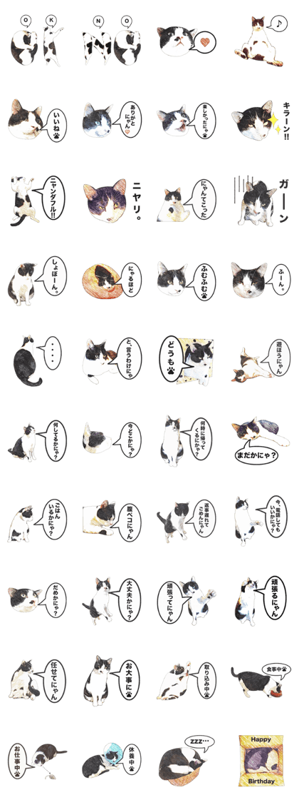 Mutan of white and black cat Part 2
