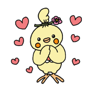 Cute ponytail parakeet