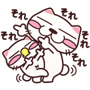 cat lovely
