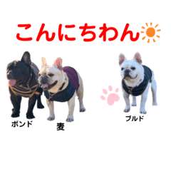 dokkun0621_20201124120535
