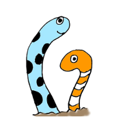 spotted garden eels (daily)