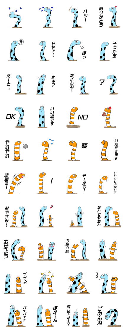 spotted garden eels (daily)