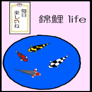 Enjoy nisikikoi
