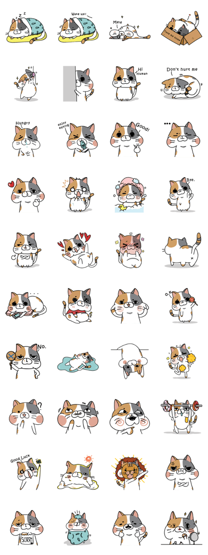 Cat Ngai