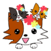 The papillon dog "Pearl" ver.2