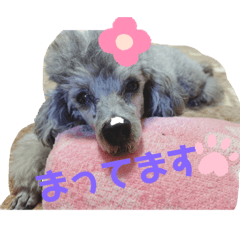 riho_20201124111034