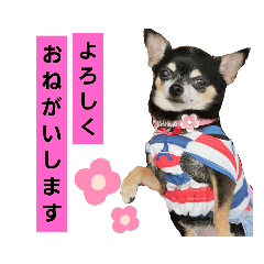 MATSU_20201124121145