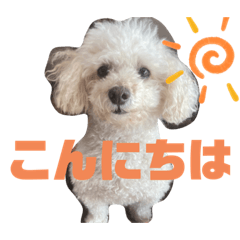 asuka_20201124134711