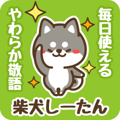 Petit Black Shiba Shitan (Honorific)