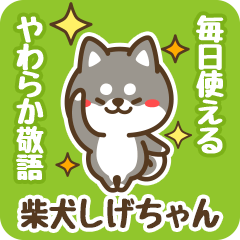 Petit Black Shiba Shigechan (Honorific)