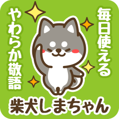 Petit Black Shiba Shimachan (Honorific)