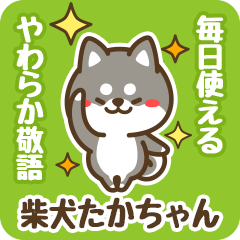 Petit Black Shiba Takachan (Honorific)