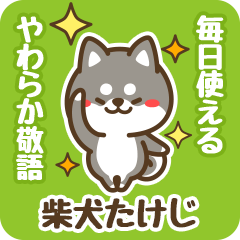 Petit Black Shiba Takeji (Honorific)