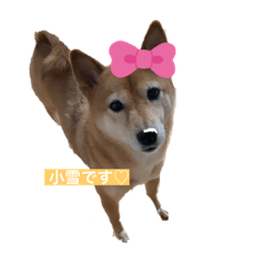 MIYUU_20201124135502