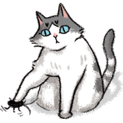 Bopo cat daily