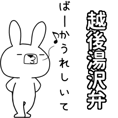 BIG Dialect rabbit[echigoyuzawa]