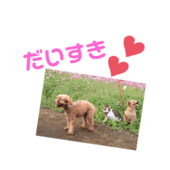 Natsumi_20201124152839