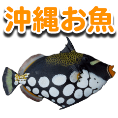 沖縄お魚