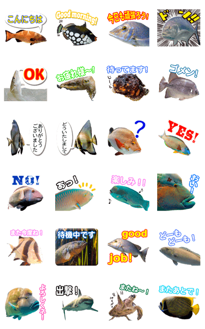 Okinawa's saltwater fish