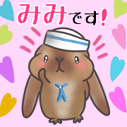 Holland lop MIMI