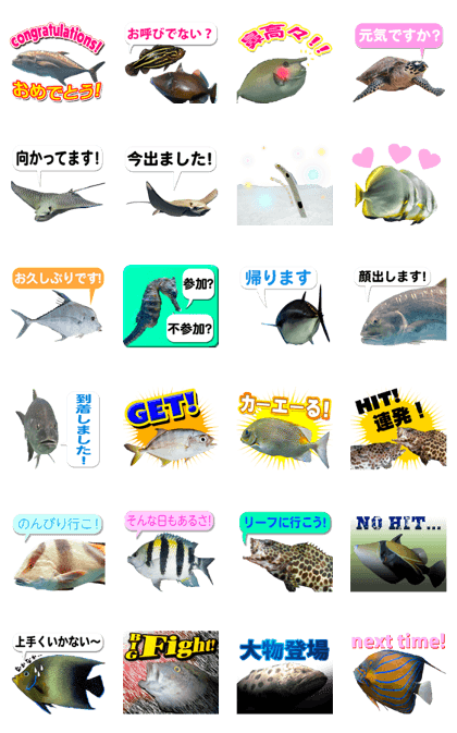 Okinawa's saltwater fish 3