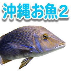 沖縄お魚2