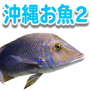 Okinawa's saltwater fish 2