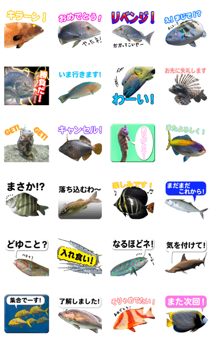 Okinawa's saltwater fish 2
