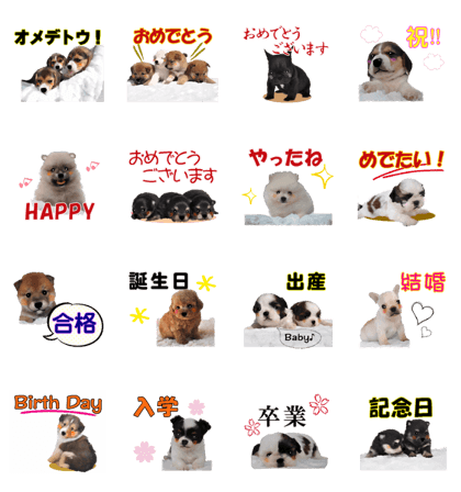 Combination puppy1 celebration