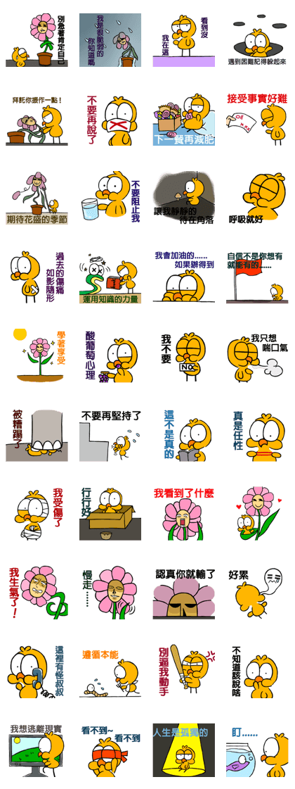 The chick 8 (2)