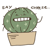 cactus fam