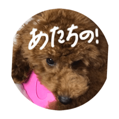 achi_20201124160907