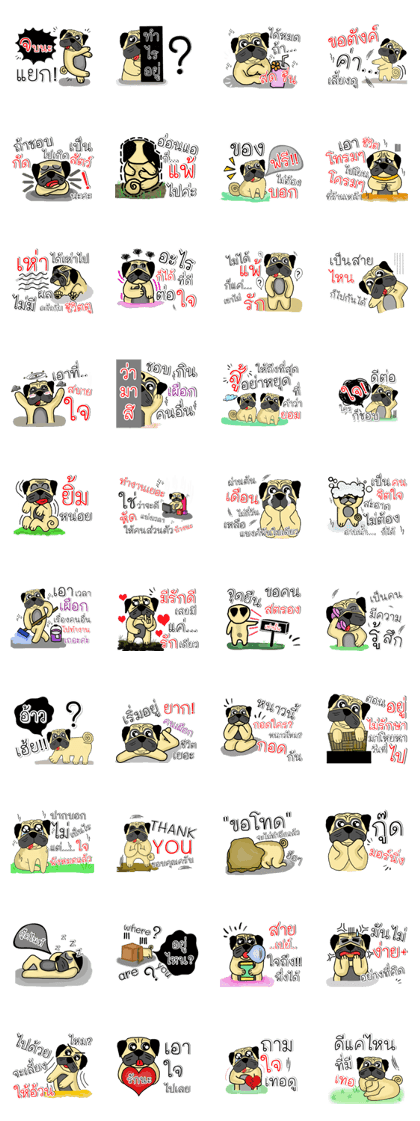 pug for you