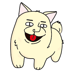 Pomeranian_dog